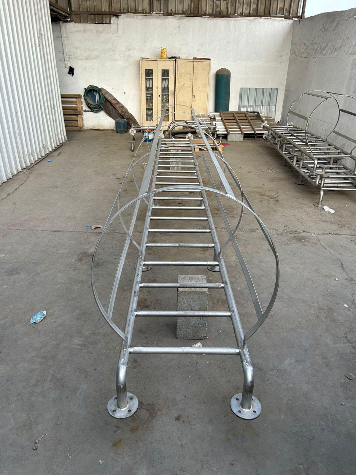 Stainless Steel and Cage Ladders